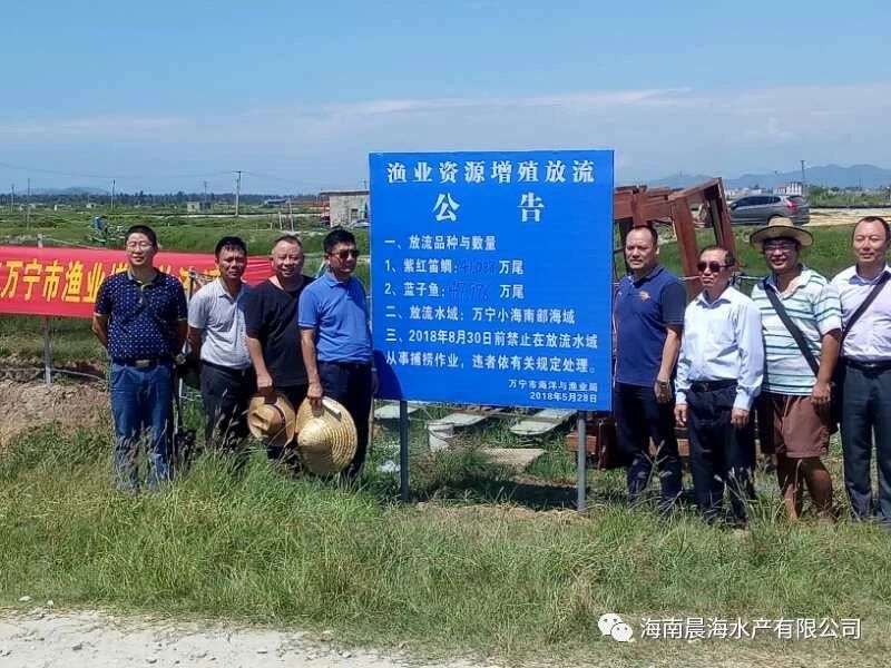 海南晨海水產(chǎn)助力萬寧小海海域增殖放流活動(dòng)3.jpg